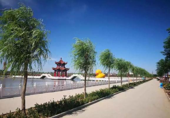 爱了爱了宁晋这个乡镇美景如画你去过吗