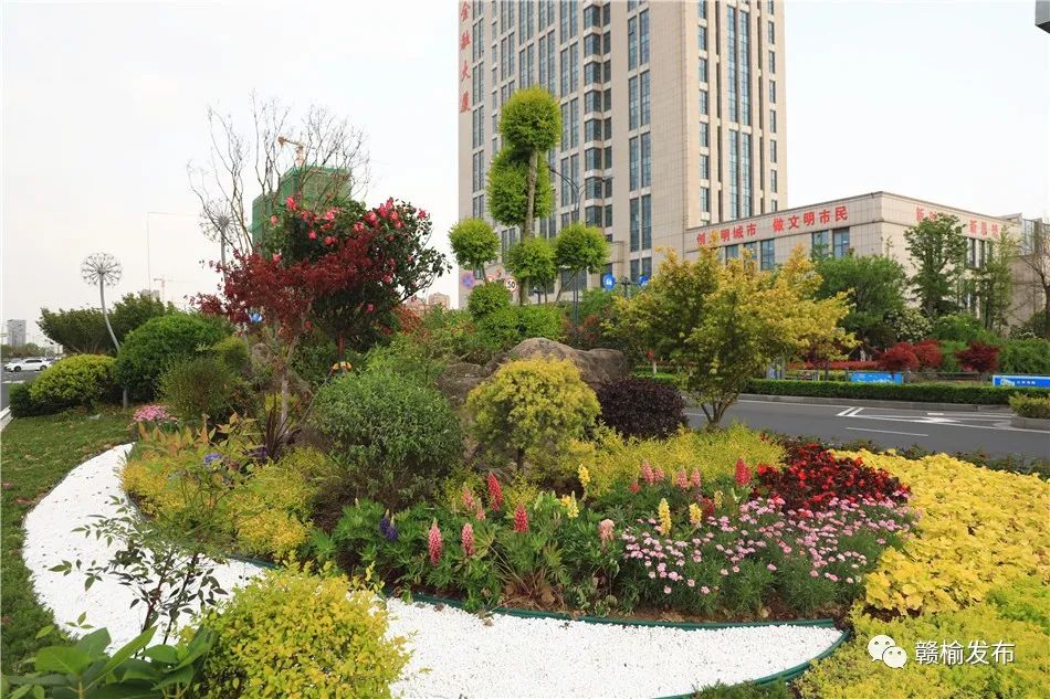 美啦美啦请看这些花境