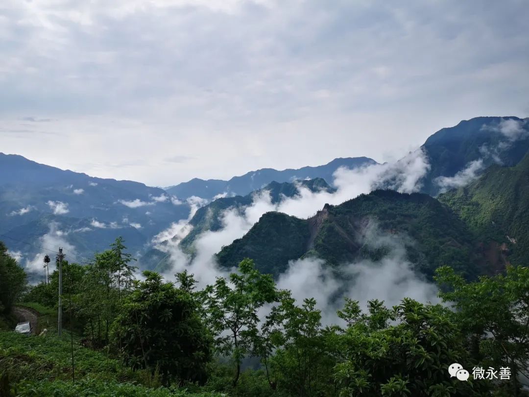 67團結鄉生態高顏值中草藥種植潛力大