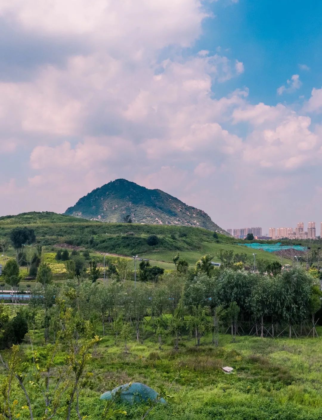 济南鹊山风景区图片