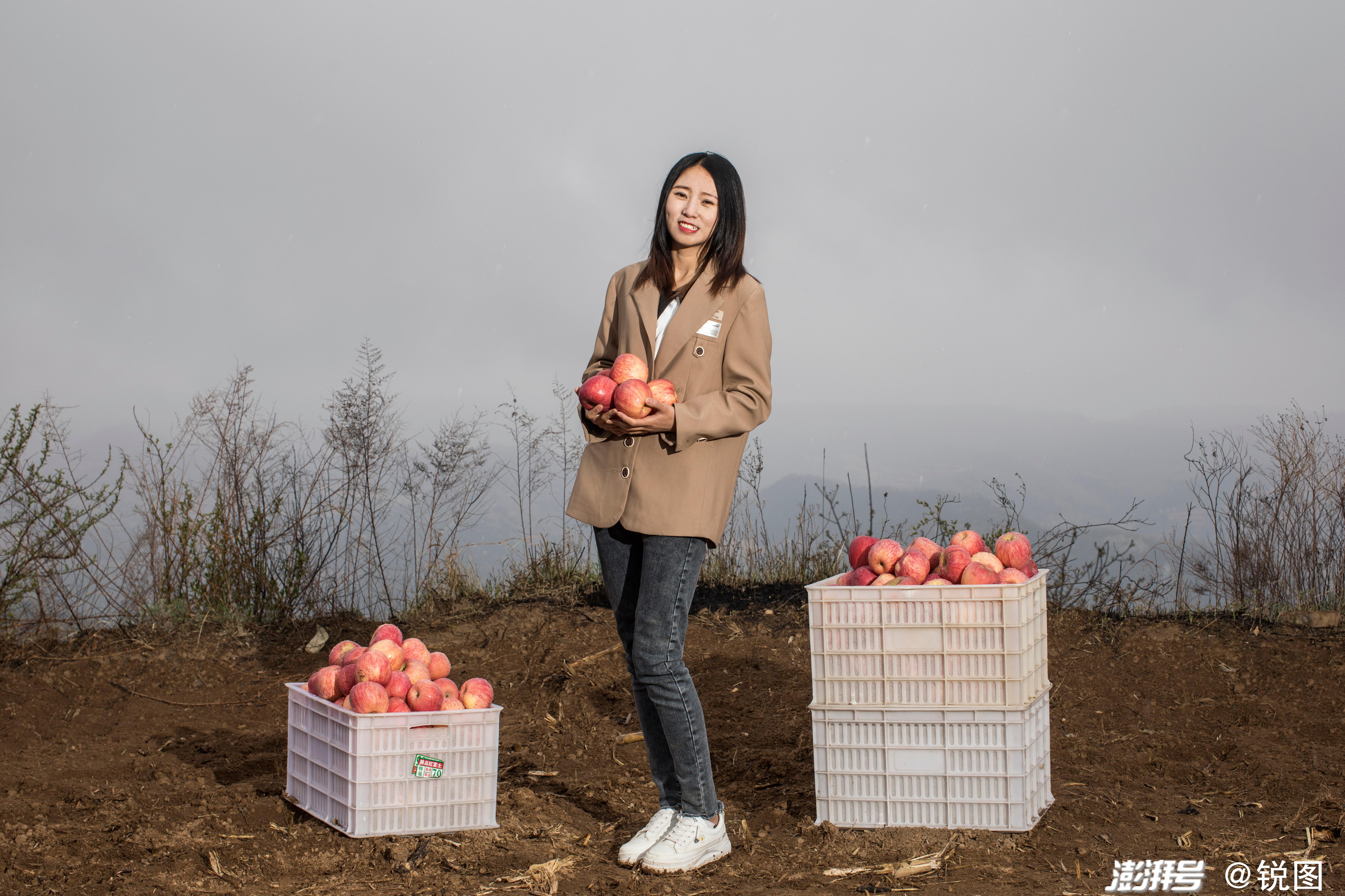 宜君县是陕西的苹果之乡,苹果以肉脆汁多而闻名.