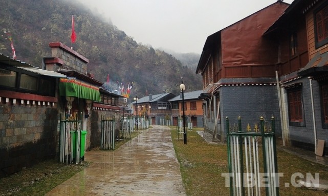 图为玉麦村楼与楼之间的水泥路和绿化带,舒适且生态宜居