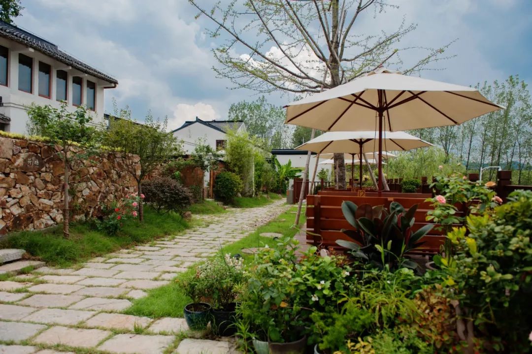 澎湃号·媒体_澎湃新闻-the paper