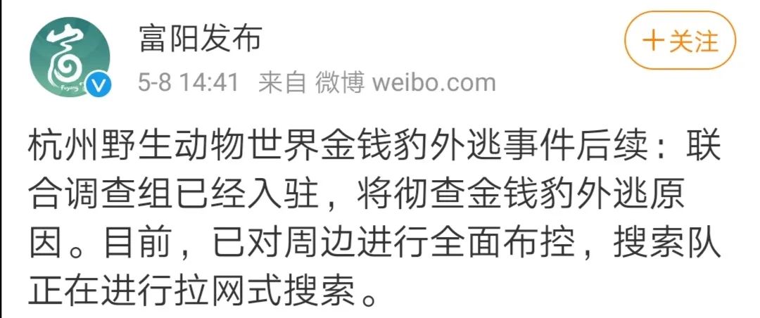 突发！野生动物世界3只金钱豹外逃！2只已被抓回...
