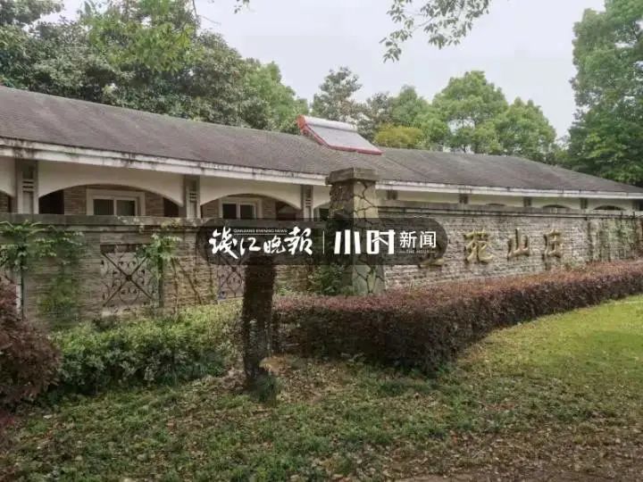突发！野生动物世界3只金钱豹外逃！2只已被抓回...