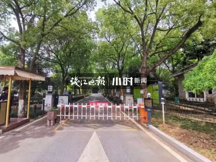 突发！野生动物世界3只金钱豹外逃！2只已被抓回...
