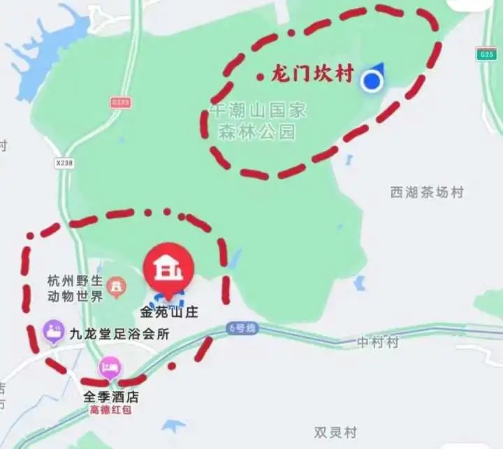 突发！野生动物世界3只金钱豹外逃！2只已被抓回...