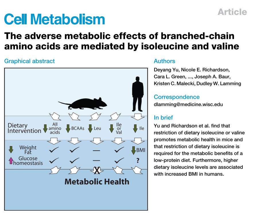 细胞 子刊 降低食物中异亮氨酸和缬氨酸含量能够改善代谢