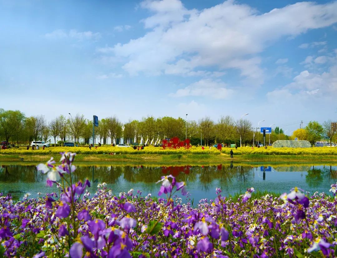 天津市武清区醉美雍阳家门口的小欢喜