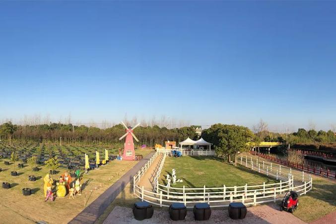 12条上海美丽乡村春夏季休闲旅游线路乡野大地等你来