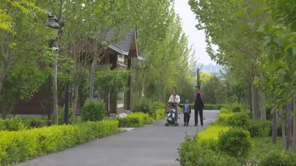 砥砺赶考行脱贫致富之旅▏走进石家庄市正定县塔元庄村