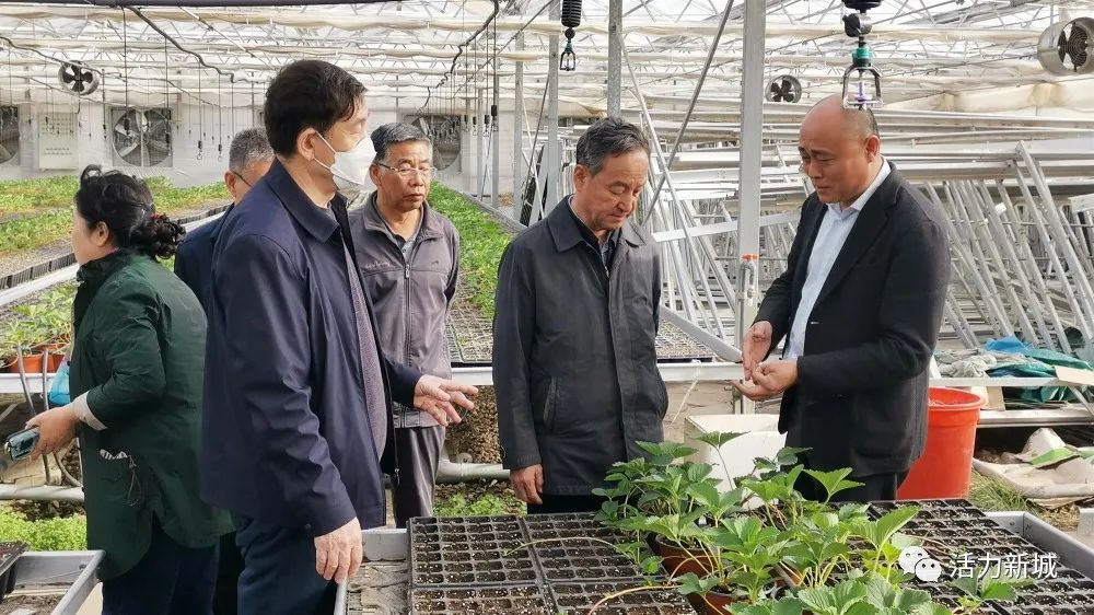 新城新闻市老区建设促进会会长康存耀一行调研指导新城区革命老区振兴