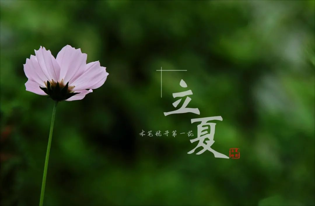 今日立夏夏天来啦旌阳区法院与你共度二十四节气