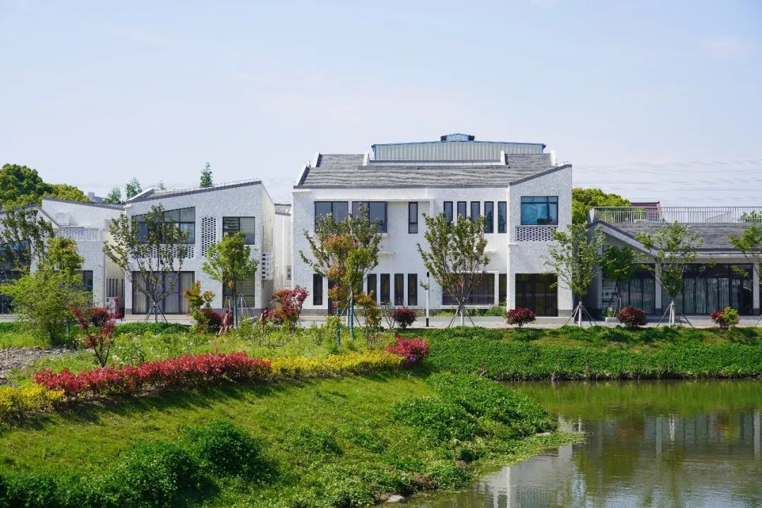 遇见未见十四五开局看奉贤南桥镇党委书记王震邀您共聚南桥话发展