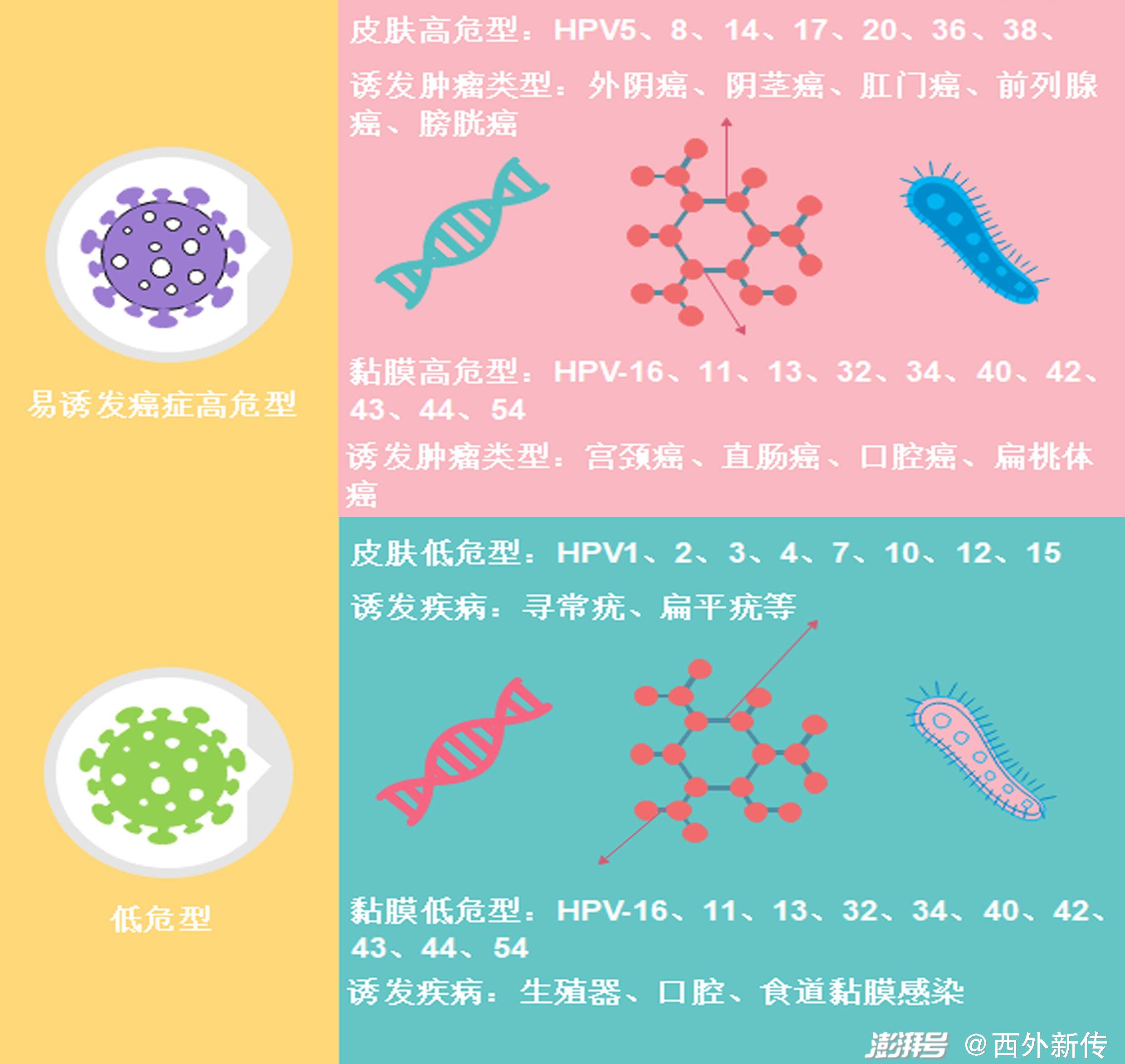 【力荐】72个抗肿瘤靶向药物全景报告_生物探索