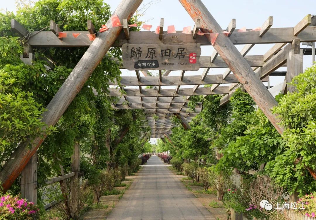 归园田居有机农庄五厍现代农业园区在距离城区30分钟车程的小松又来