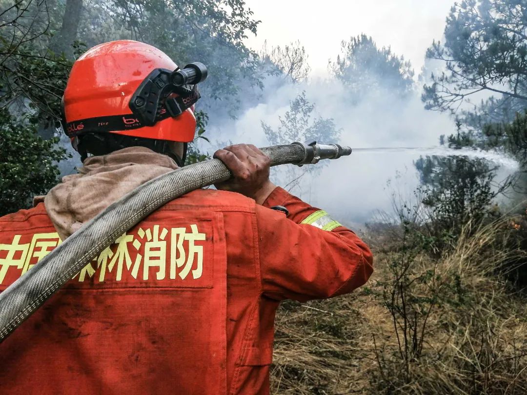 大理市湾桥镇突发森林火灾云南省森林消防总队324名指战员紧急前往