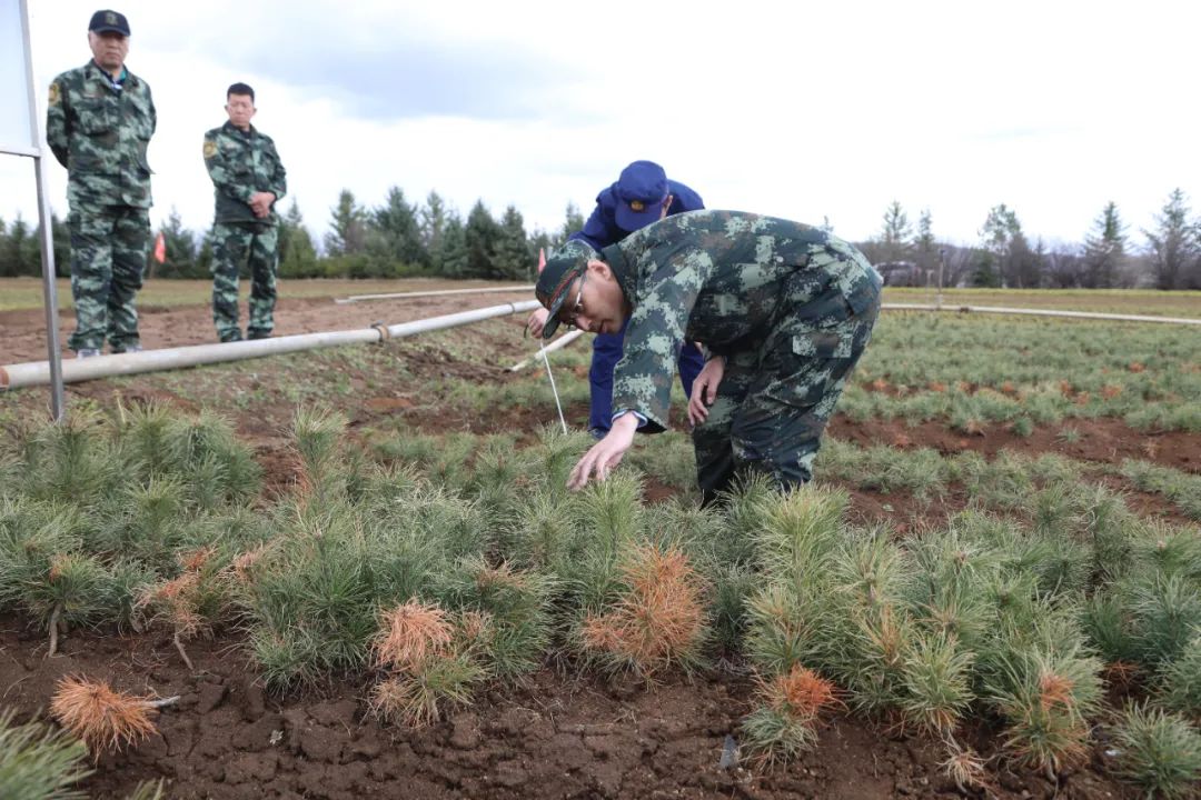 —大兴安岭林业集团公司党委常委,副总经理刘志深入