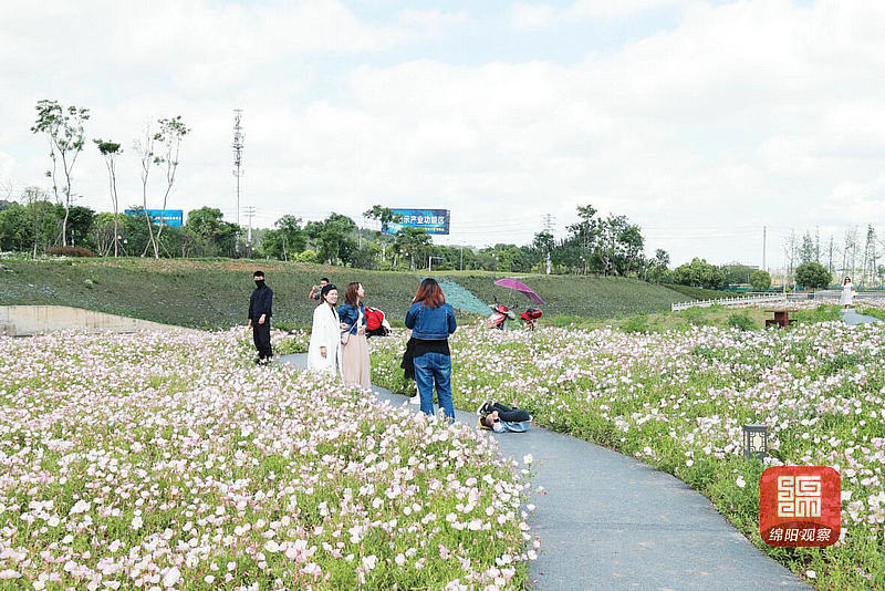 绵阳草溪河湿地公园图片