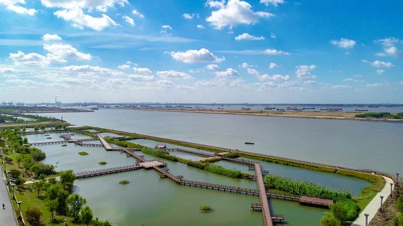区,打造流域污水治理新模式;开展靖江马洲岛生物多样性综合观测站建设