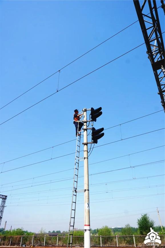 你出行的路上居然有67蜘蛛人相伴