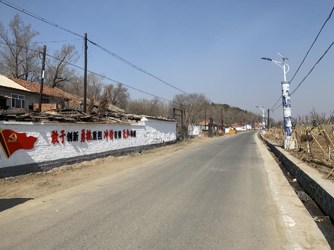 助力旅發大會巾幗共建美麗家園第三篇林口縣