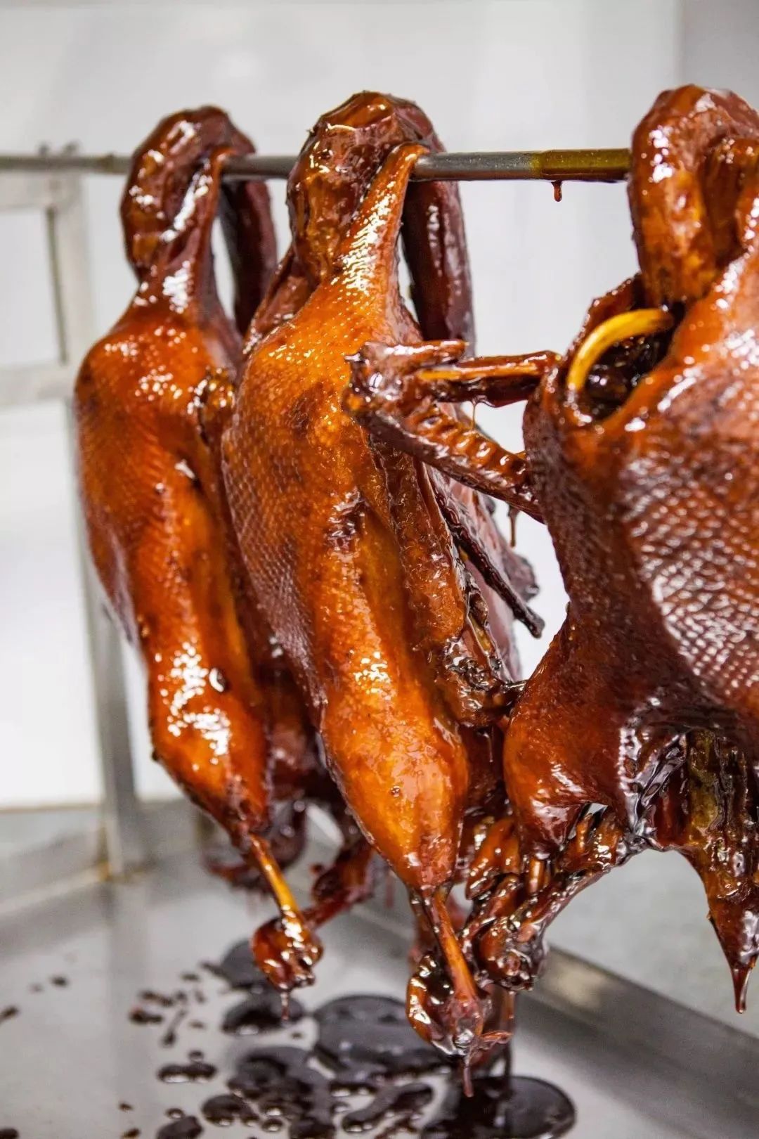 古法酱鹅华亭湖时代大酒店时代大肉包八十八亩田叶榭软糕宝燕壹号奶香