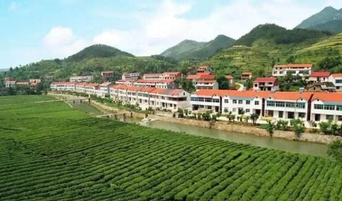 百丈河村地处英山县温泉镇,处处郁郁葱葱,生机盎然.