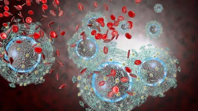 抗反转录病毒治疗——利于延缓HIV患者衰老