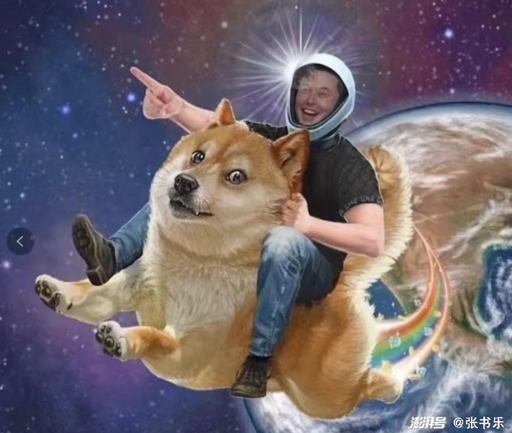 事实上,正确地看待比特币和狗狗币,最佳的姿势应该