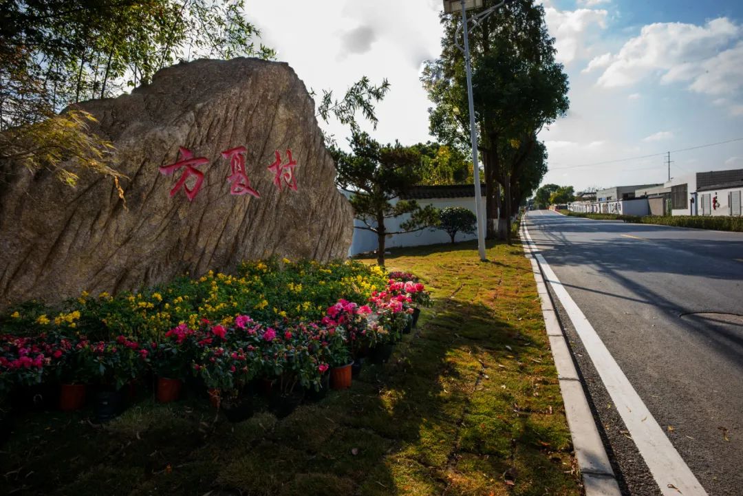 破茧成蝶赵巷镇这个村正演绎着美丽的嬗变