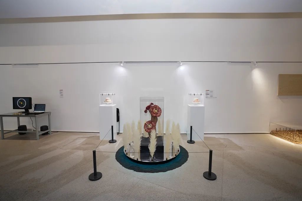 中央美院毕业季丨2021年研究生毕业展点亮初夏