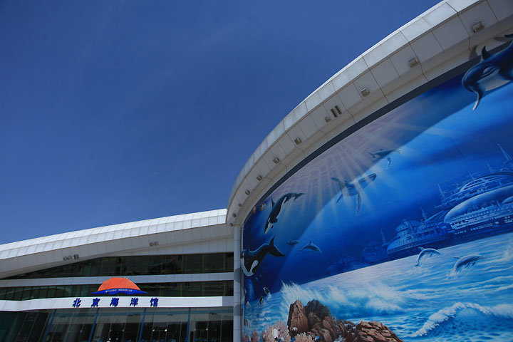 网红打卡地小朋友们在蓝色海洋里学习知识