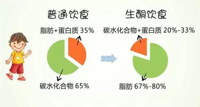 高蛋白低碳水的食物有哪些_低碳水的食物有哪些