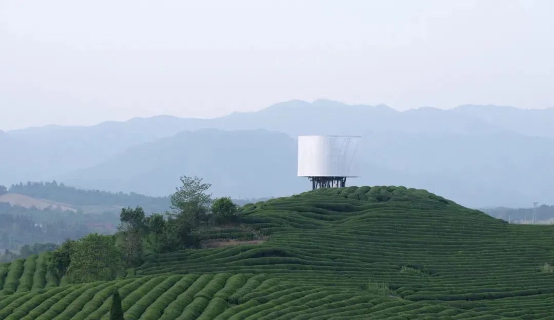 琵琶行中的买茶胜地浮梁如今以大地艺术节重寻乡村活力