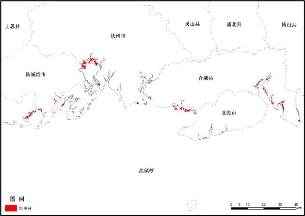 2019年广西北部湾近岸海域红树林空间分布近年来气象部门积极开展北部