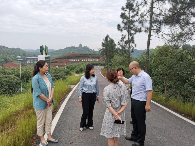 产业发展,了解了省级"美丽家园"示范创建工作推进情况后,杨德蓉指出