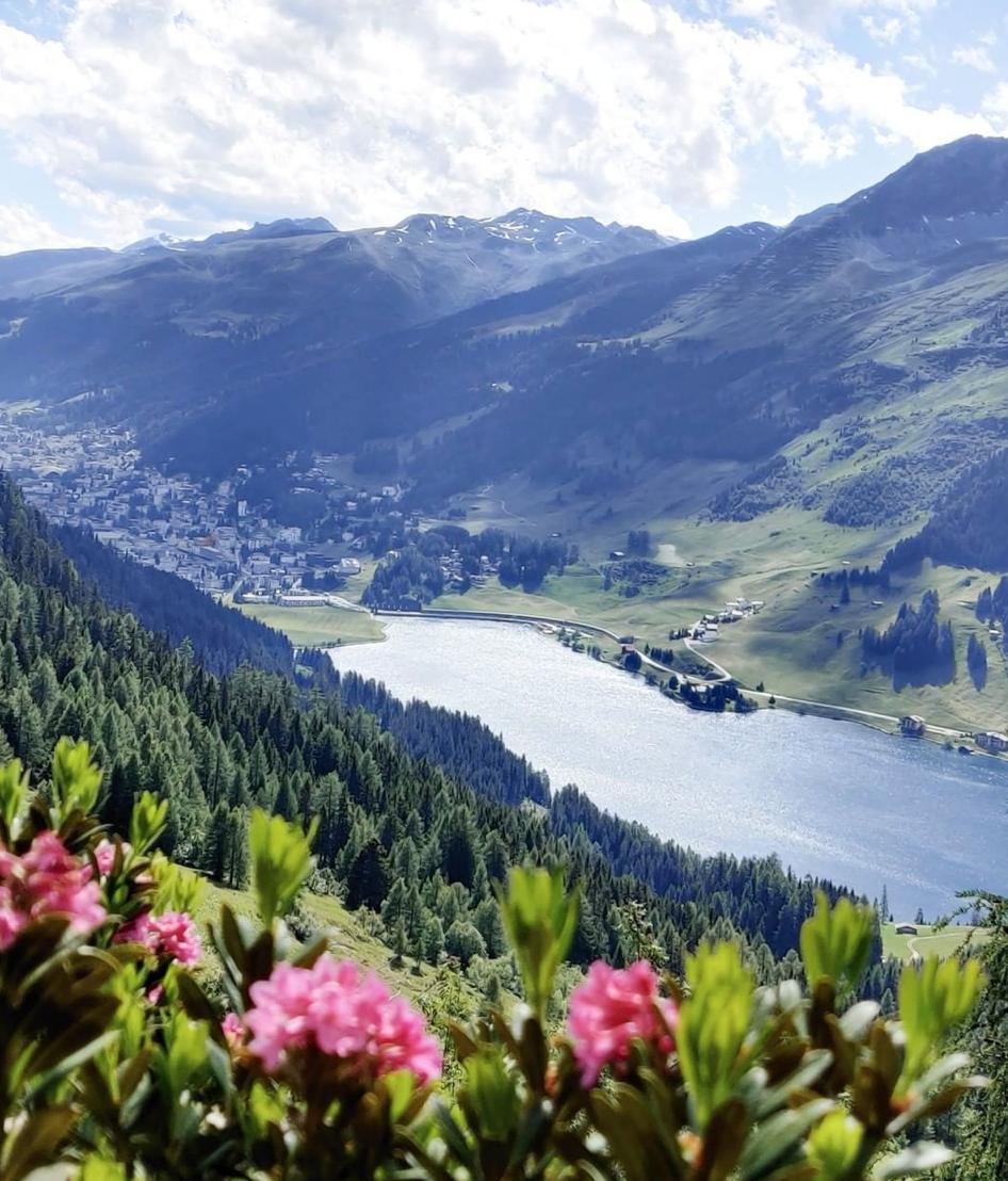 超过800种精彩夏日体验尽在达沃斯