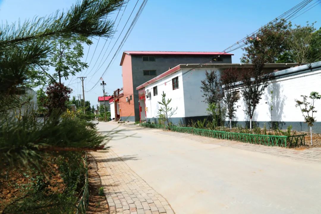 我为群众办实事李庄村改善人居环境让幸福看得见