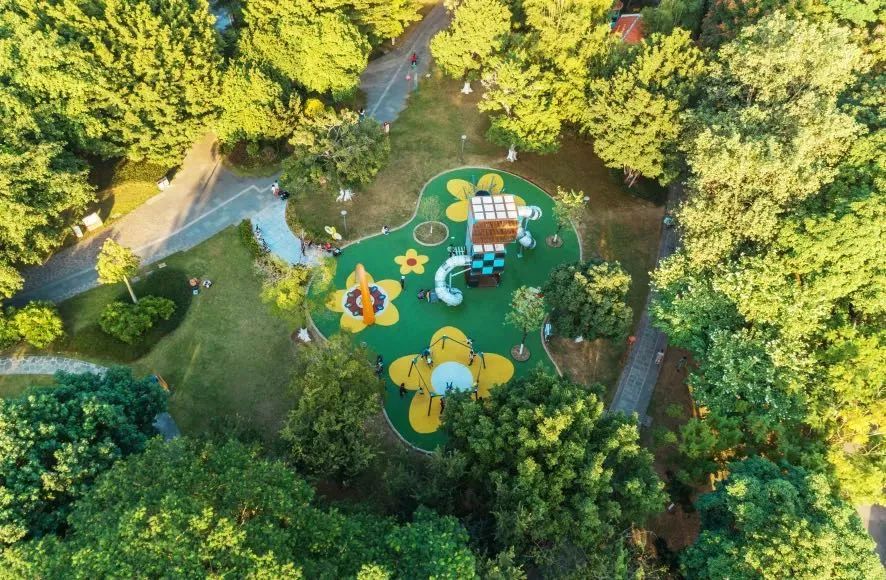 高空俯瞰怡翠公园的多彩涂鸦,童趣十足.摄/宋兹檀