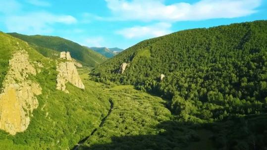 巴林右旗大板鎮西北的特尼格爾圖山是巴林石的唯一產地.