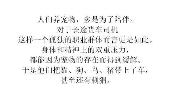 日与夜简谱_日与夜,日与夜钢琴谱,日与夜钢琴谱网,日与夜钢琴谱大全,虫虫钢琴谱下载(3)