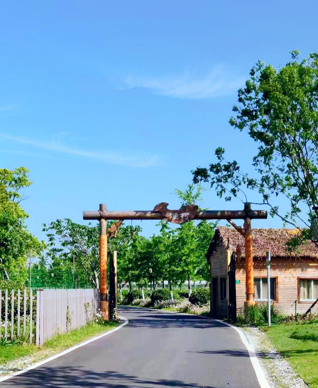 乡约宝山海星村邀你感受乡村的明媚夏景