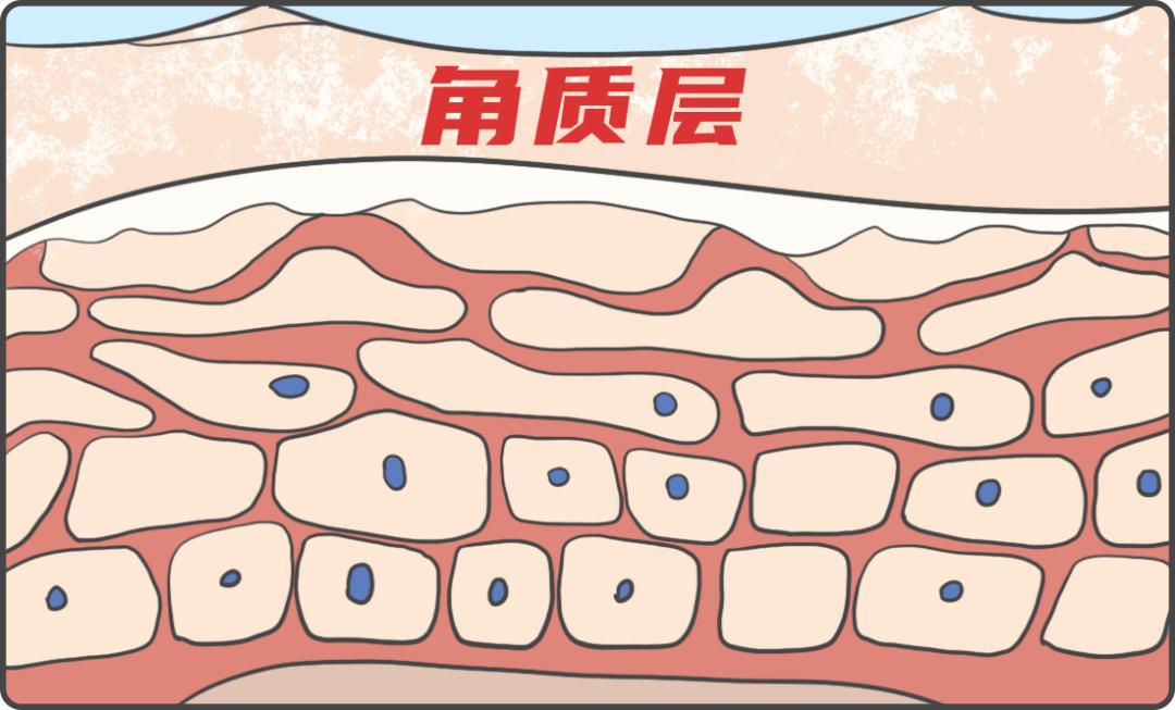 网红吹爆的刷酸真的对皮肤好吗