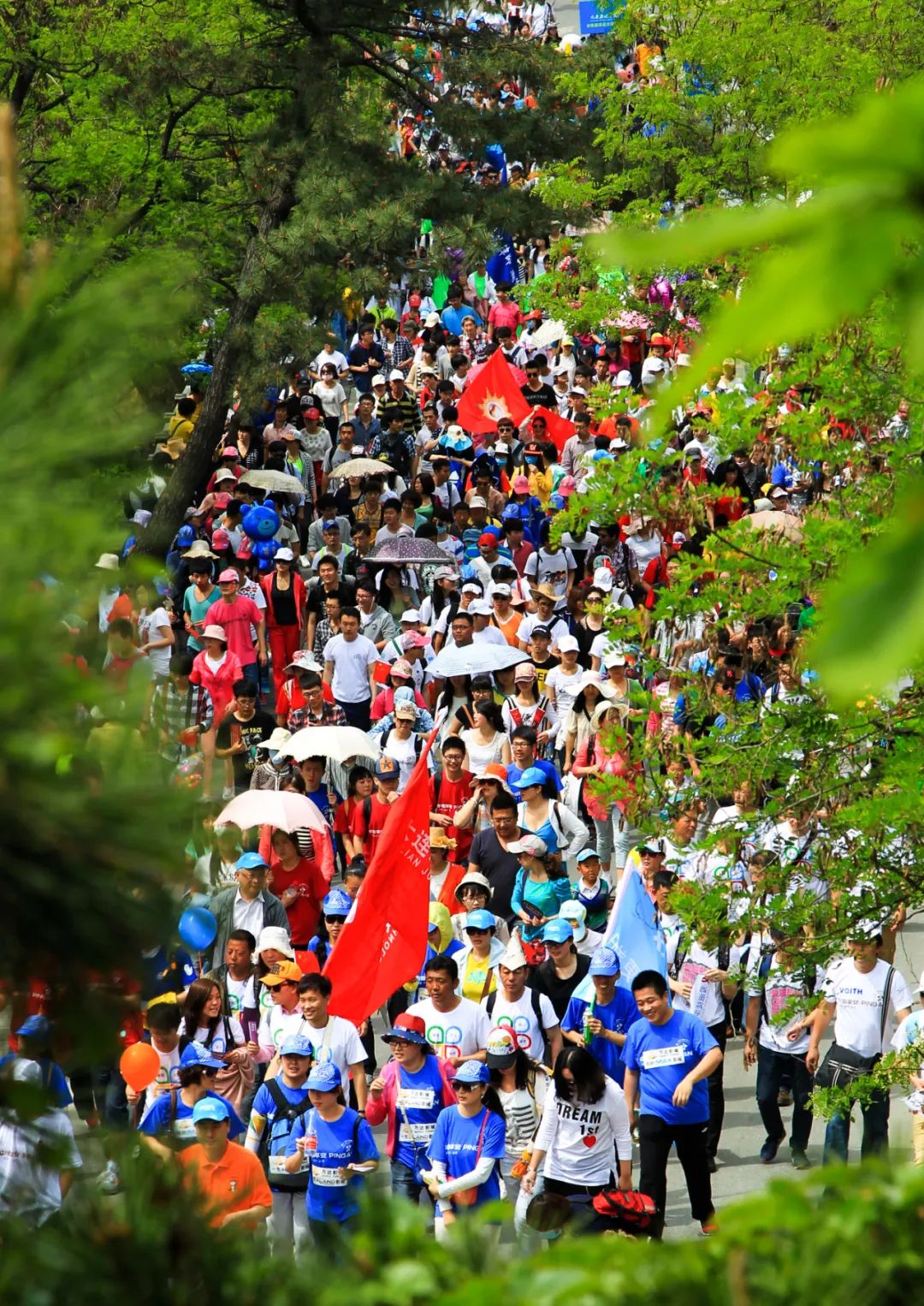 2015年5月16日-17日第十三届大连国际徒步大会举办,两天参与人次数