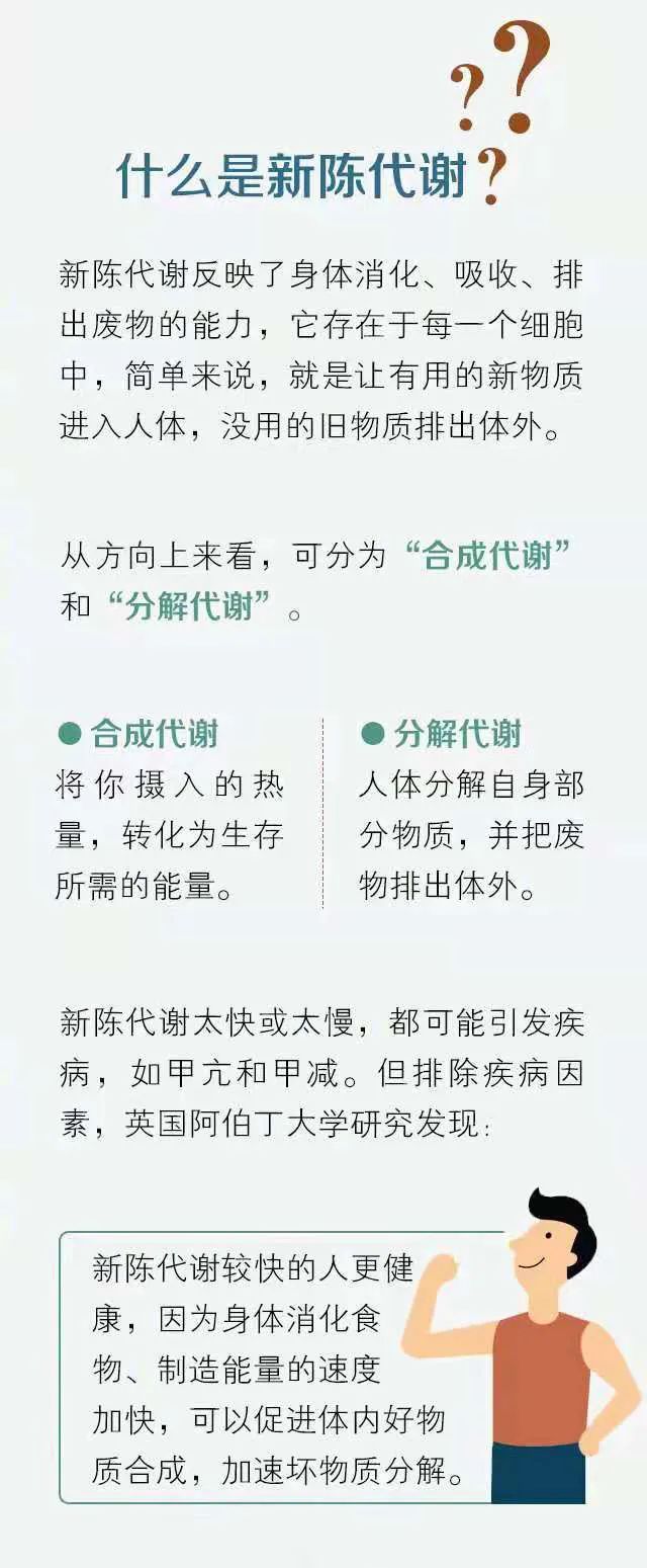 新陳代謝慢怎麼減肥都沒用7個方法教你提高新陳代謝