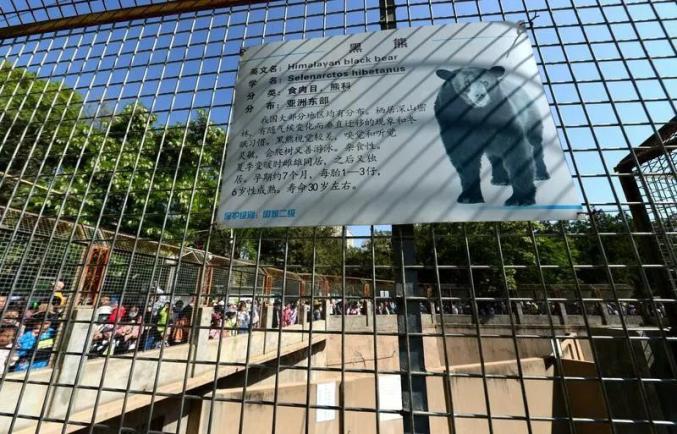 再見蘭州市動物園完美謝幕