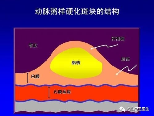 食物发物是那些_哪些食物是发物_食物中何为发物