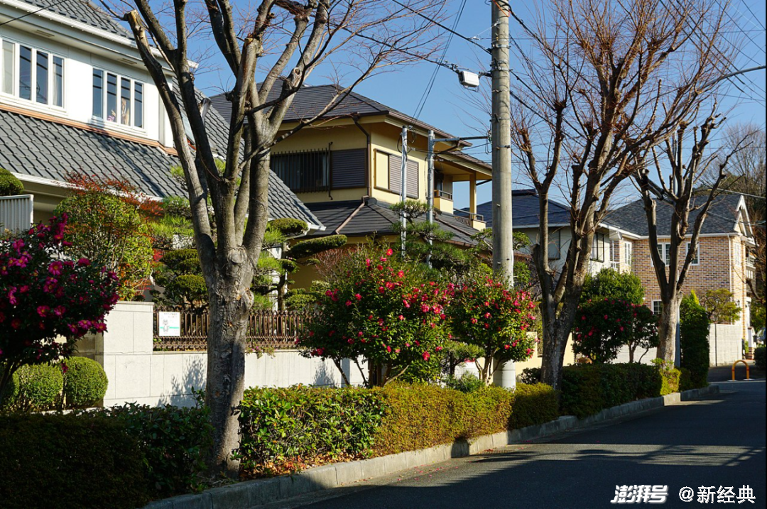 日本造园大师的庭院设计指南 你也能生活在风景里 湃客 澎湃新闻 The Paper