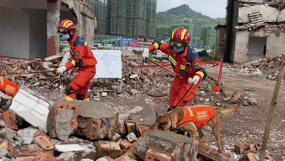 400_226gif 动态图 动图